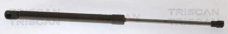 Abverkauf TRISCAN Gasfeder, Koffer-/Laderaum 8710 25282