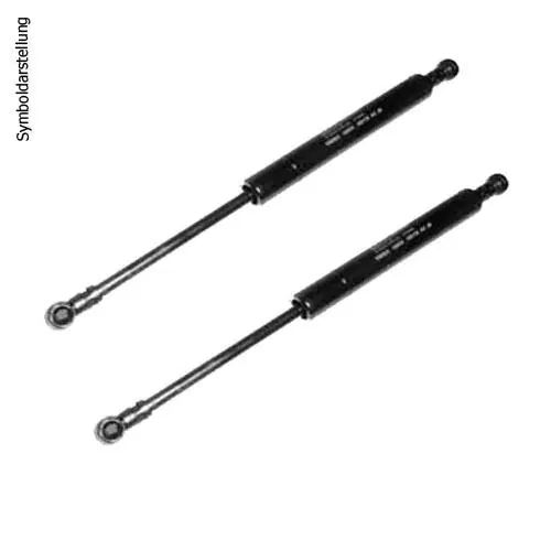 2x Gasfeder für Kofferraum Heckklappe passend für Smart Fortwo Coupe (451) Direktkauf