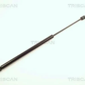 Aktuell TRISCAN Gasfeder, Koffer-/Laderaum 8710 24208
